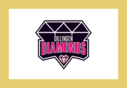 Dillingen Diamonds