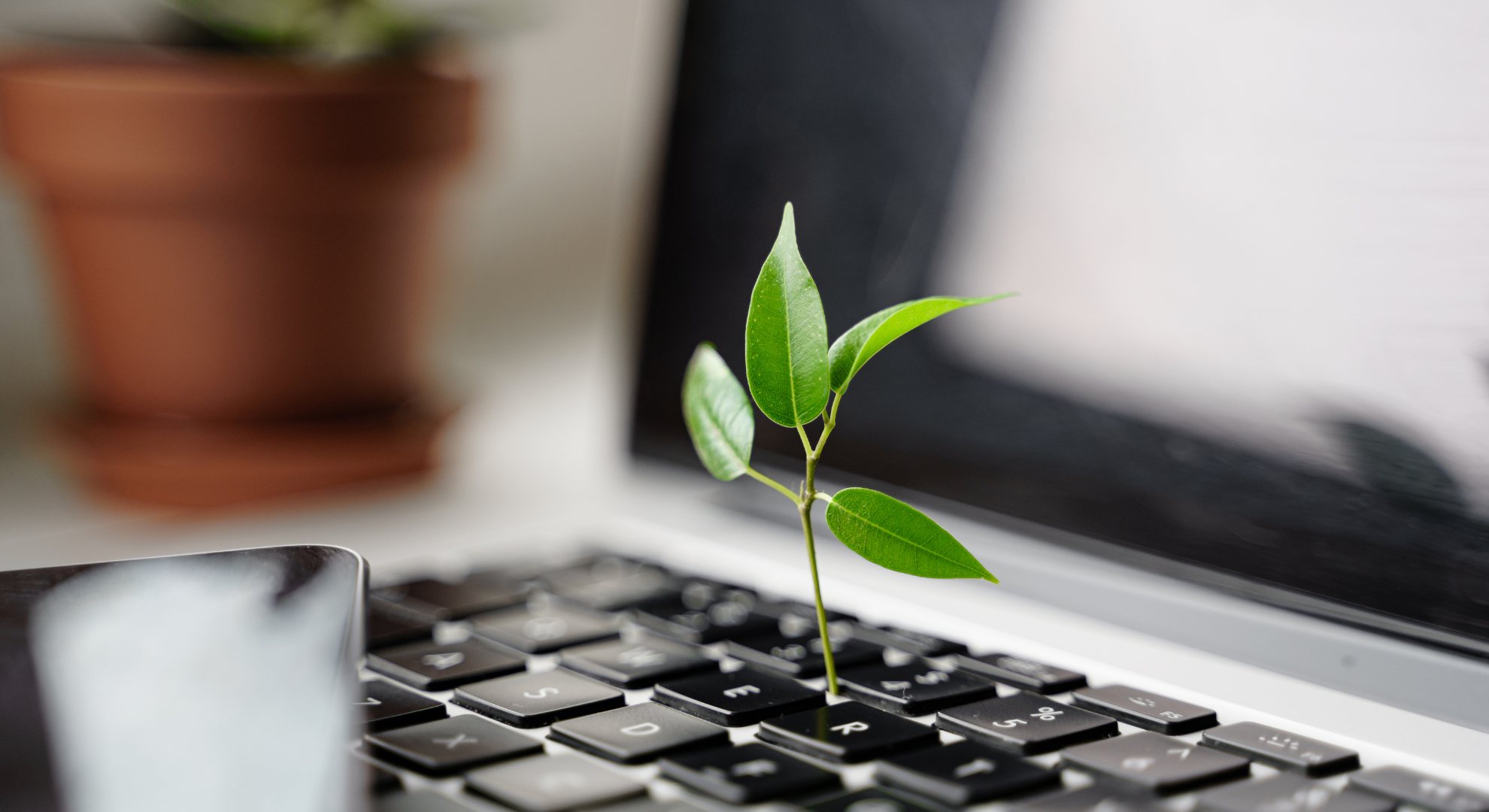 Voraussetzungen, Förderquoten & förderfähige Maßnahmen Voraussetzungen, Förderquoten & förderfähige Maßnahmen