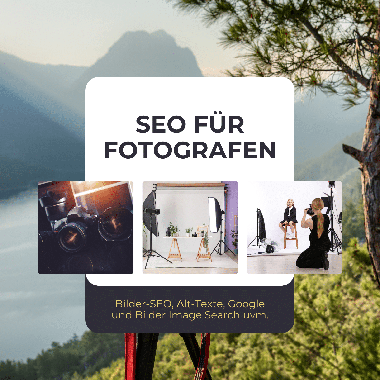 SEO für Fotografen - Branchenseite - Matthias Ternes Marketing 05