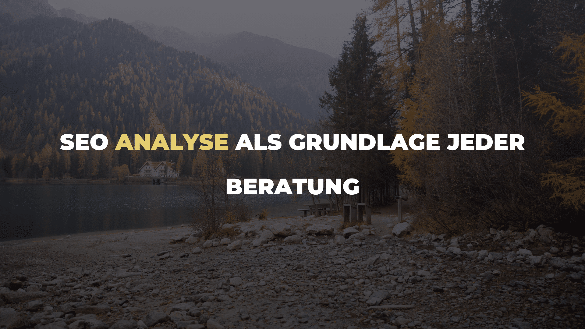 SEO Analyse als Grundlage jeder Beratung