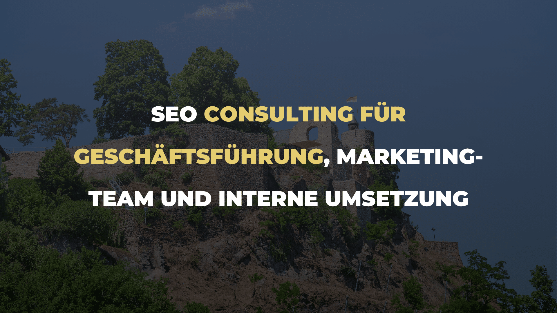 SEO Consulting für Geschäftsführung, Marketing-Team und interne Umsetzung