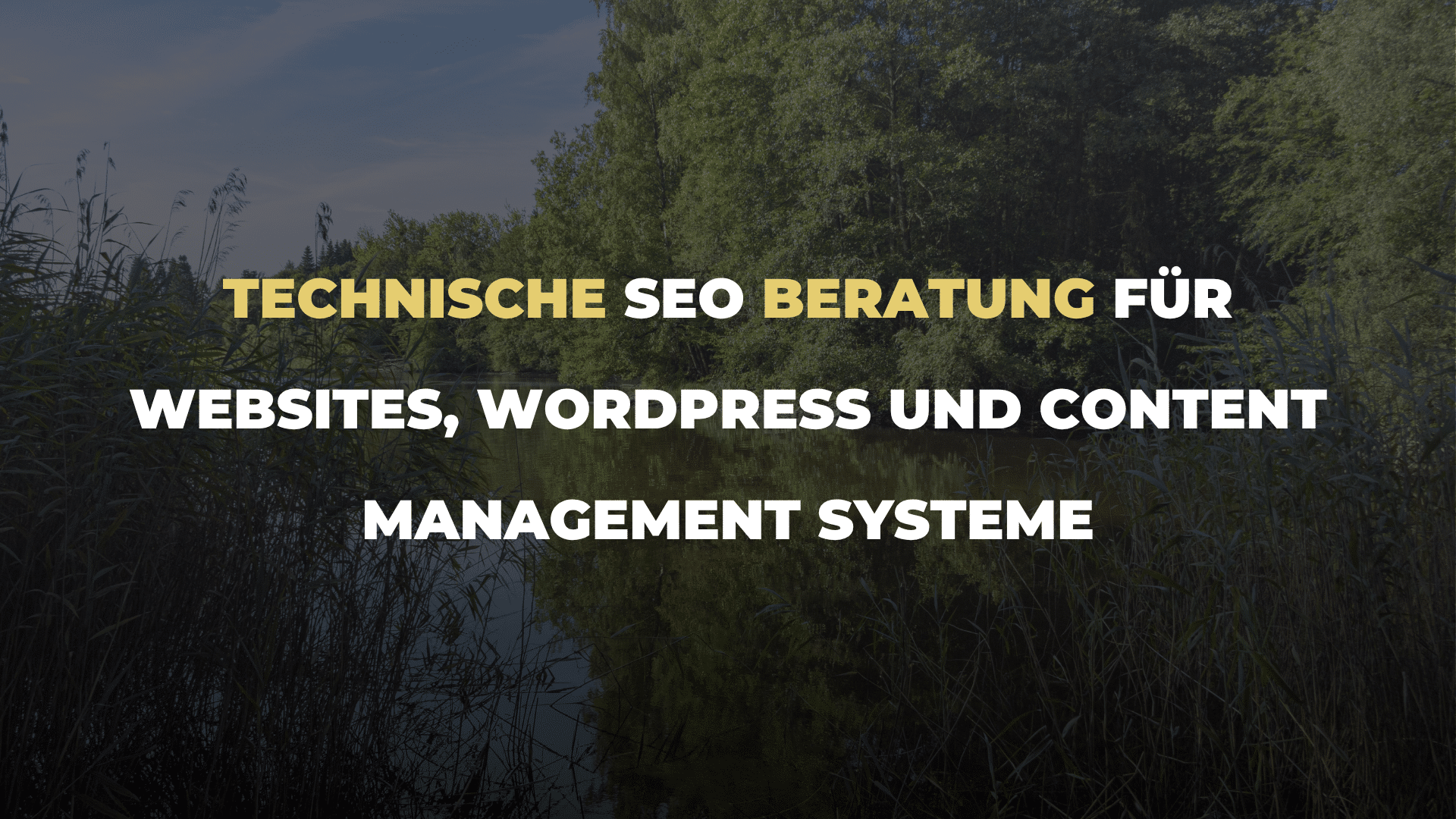 Technische SEO Beratung für Websites, WordPress und Content Management Systeme