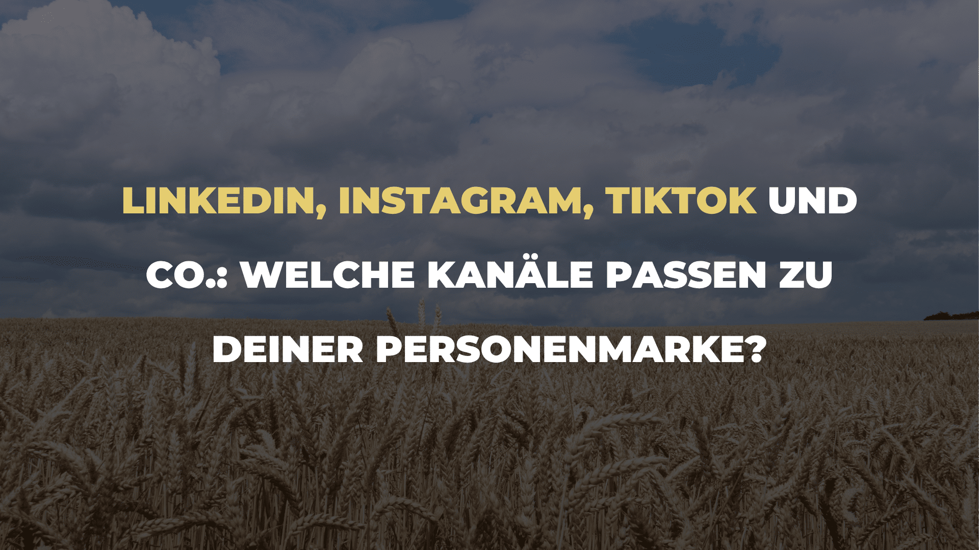 LinkedIn, Instagram, TikTok und Co._ Welche Kanäle passen zu Deiner Personenmarke